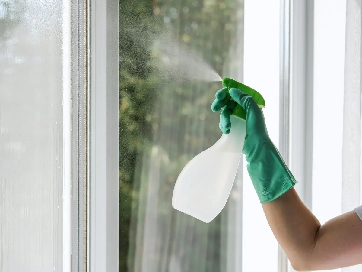 Our expert doing window cleaning services near me